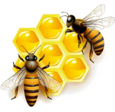 Favo de mel com abelhas